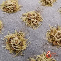 Step 10