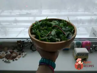 Легкий салат із медово-лимонною заправкою