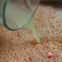 Step 12