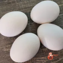 Step 1
