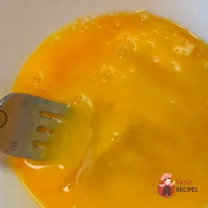 Step 28