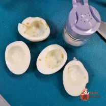 Step 11