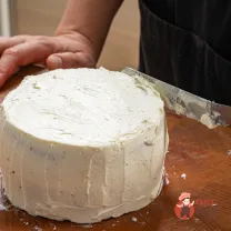 Step 11