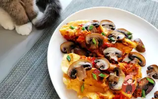 Омлет із грибами