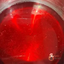 Step 8