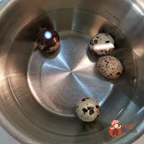 Step 9