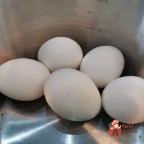 Step 1