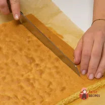 Step 11