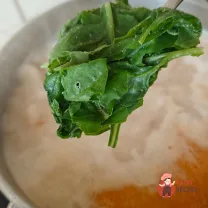 Step 12