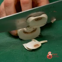 Step 1