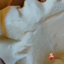 Step 8