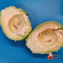 Step 14