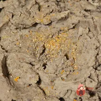 Step 6
