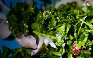 Сезонна Літня Зелень Із Кальмаром