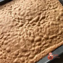Step 9