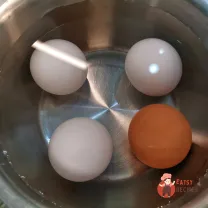 Step 1