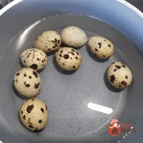 Step 1