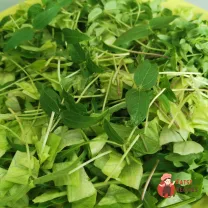 Step 5