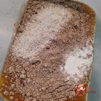 Step 5