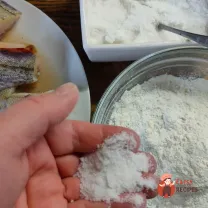 Step 5