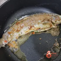 Step 9