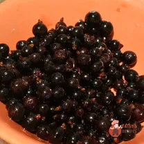 Step 7