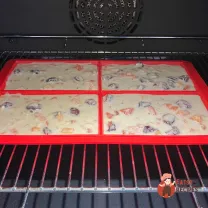 Step 10