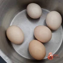 Step 2