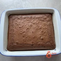 Step 10
