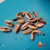 Step 6