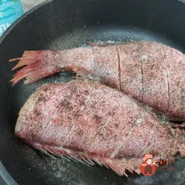 Step 7