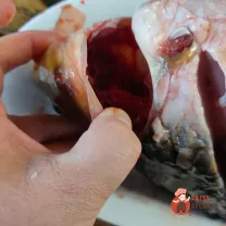 Step 2