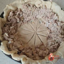 Step 15