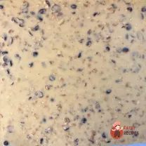 Step 9