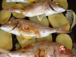 Пагель запечений