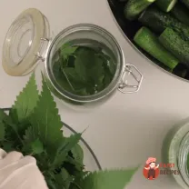 Step 2