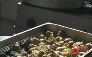 Артишоки На Пару