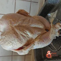 Step 6