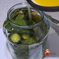 Step 11