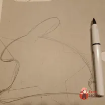 Step 7