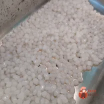 Step 9