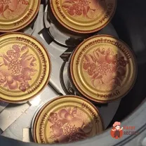 Step 13