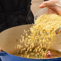 Step 10