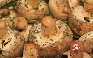 Шашлички З Печериць