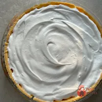 Step 14