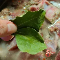 Step 5