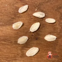 Step 11