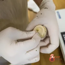 Step 11