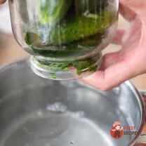 Step 10