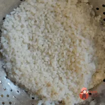 Step 12
